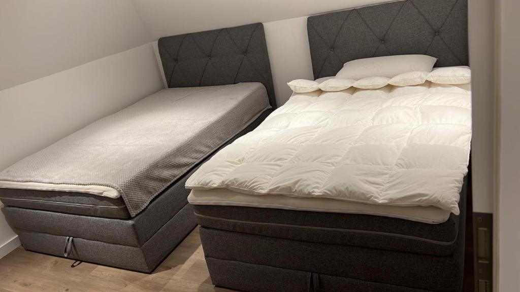 Ferienwohnung Nella Paderborn Extérieur photo